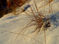 winter fertig